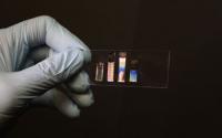 Glass Slide with Virus-Based Materials