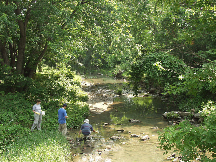 Water sampling in a Gwynns Falls stream.