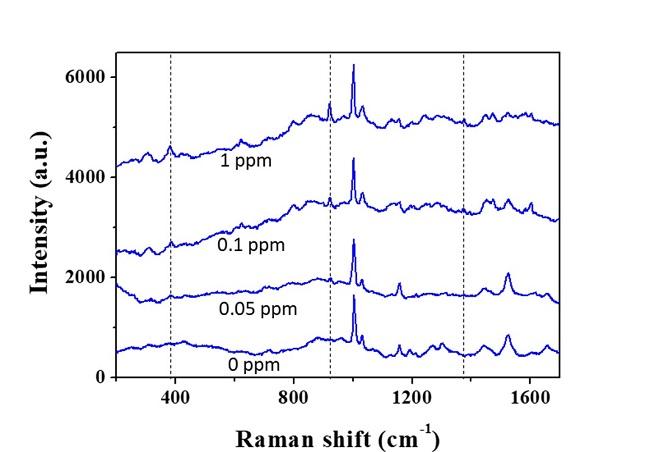 Raman Spectra