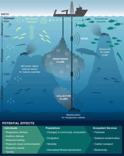 Schematic of potential mining impacts