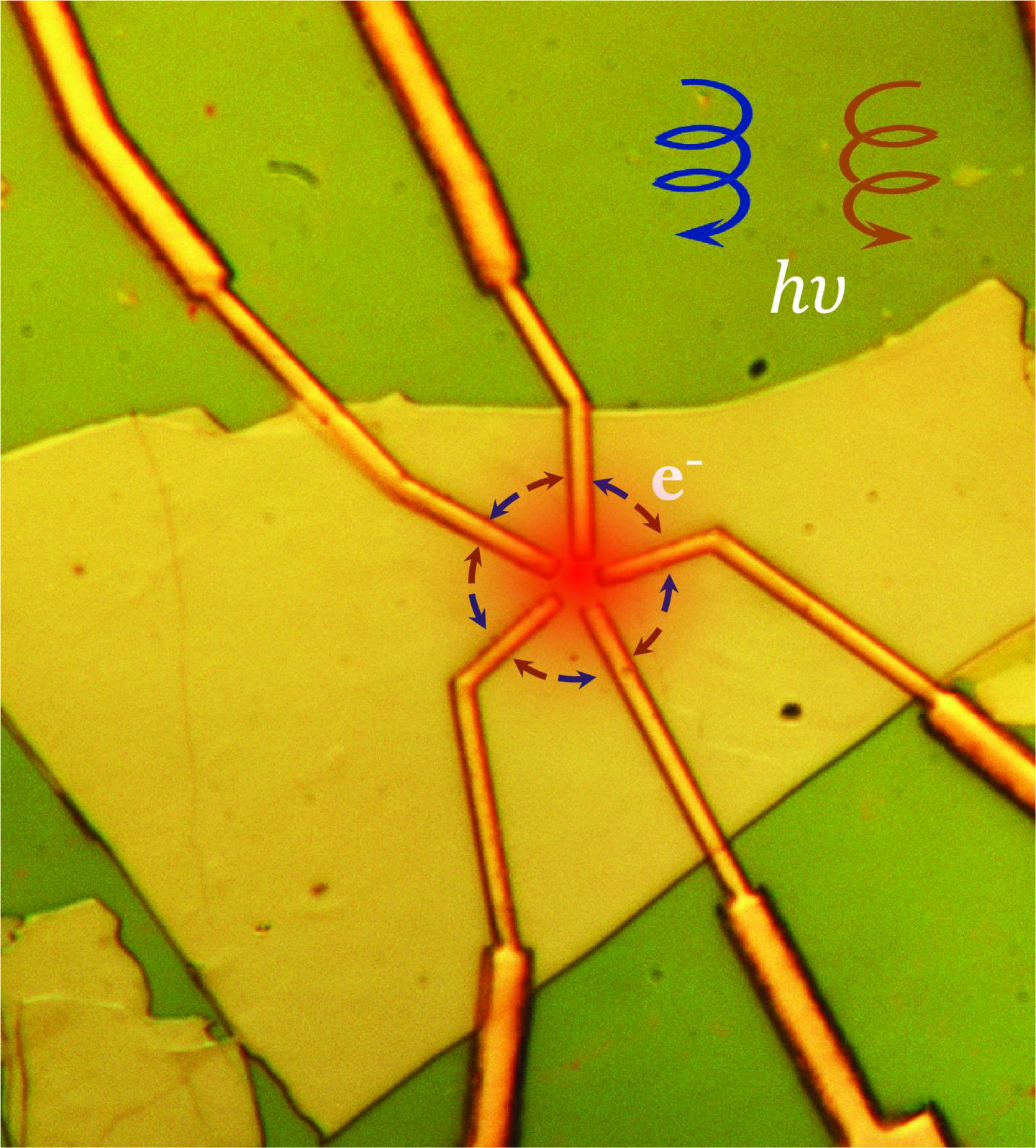 Electrodes on a Sheet of Weyl Semimetal