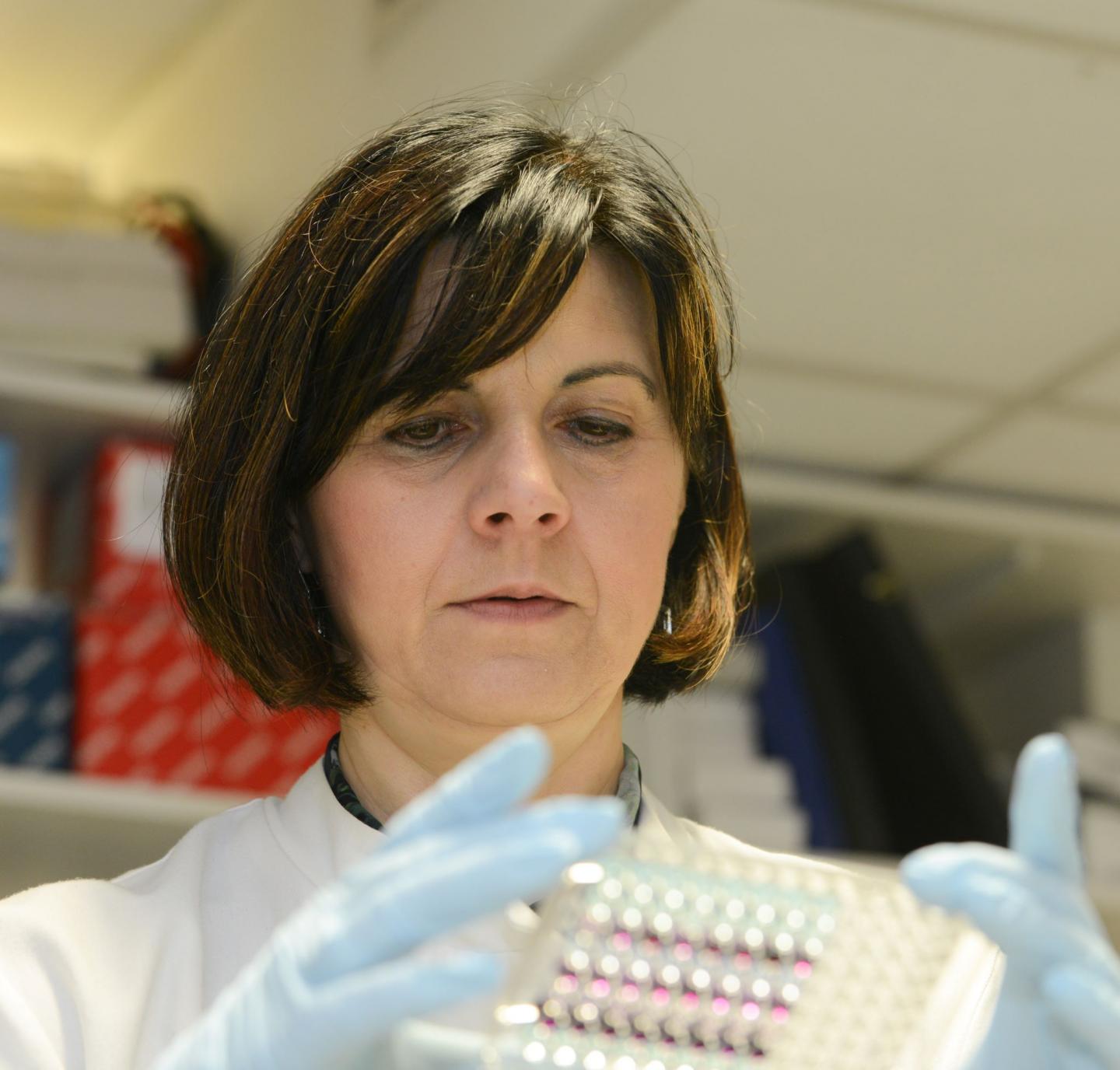 Professor Tatjana Crnogorac-Jurcevic, Queen Mary University of London