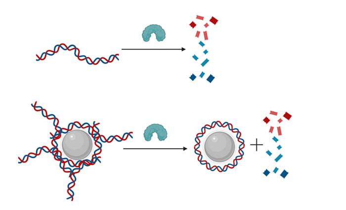 Nanomaterials, Free Full-Text