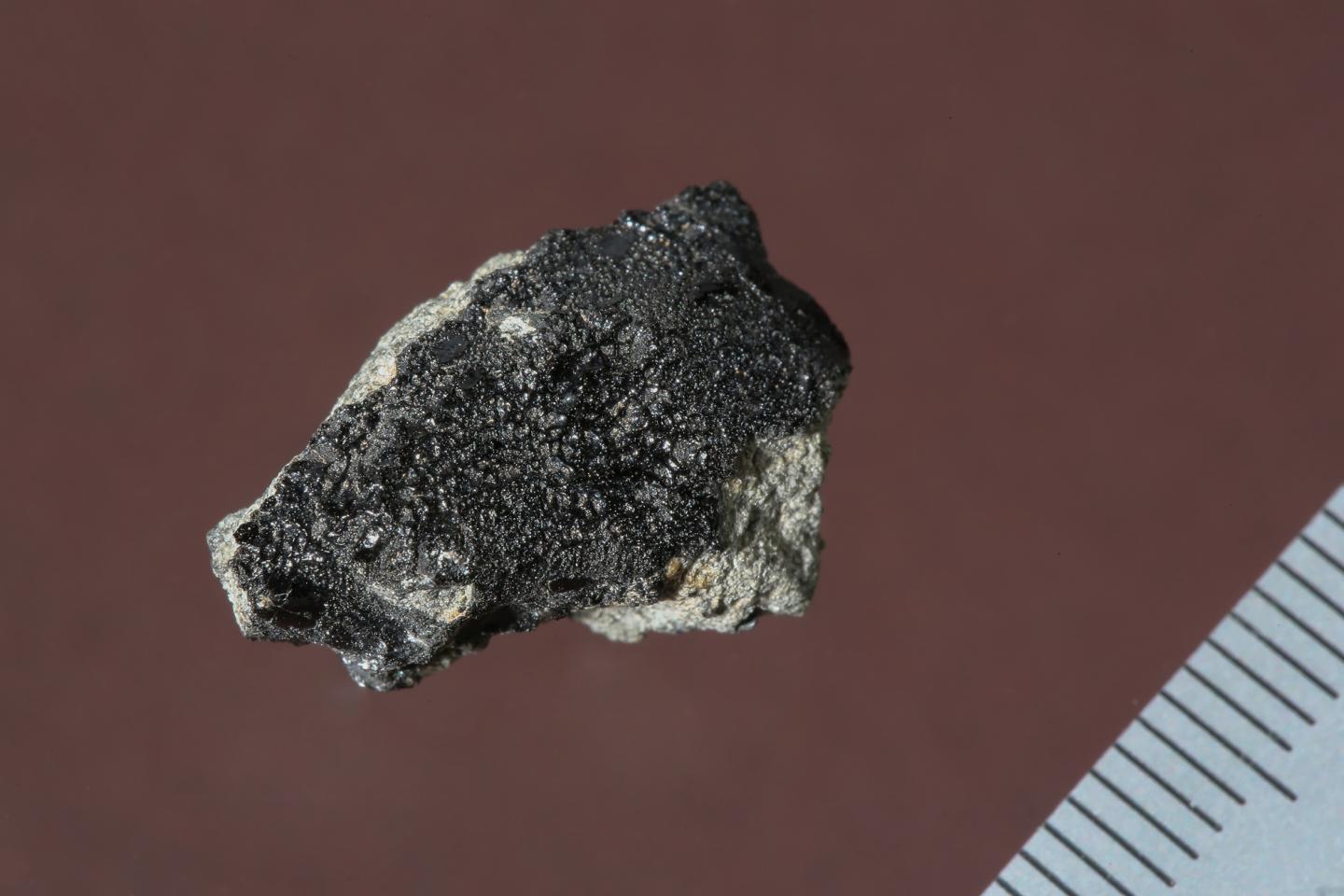Close-up of the Tissint Meteorite (2 of 2)