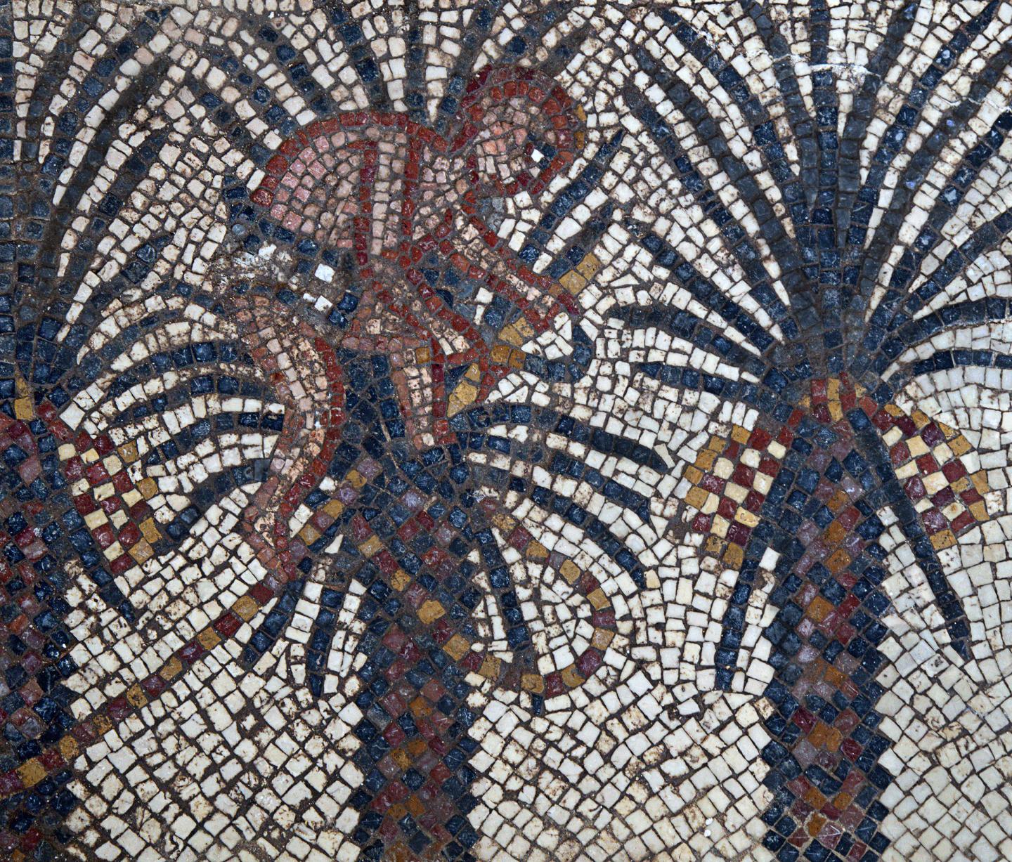 Elim Mosaic Detail, Huqoq Excavation Project