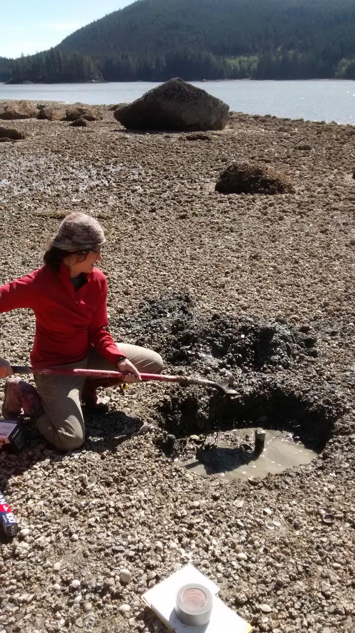 3,500 Years of Shellfish Farming by Indigenous Peoples on the Northwest Coast (2 of 2)