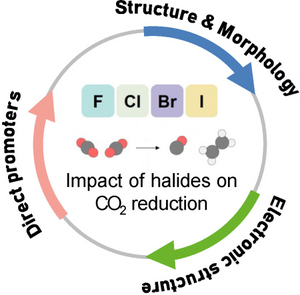 Role of halides on electrochemical CO2 reduction