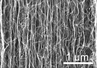 Nanotube Growth - SEM