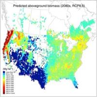 Capacity of North American Forests to Sequester Carbon 2