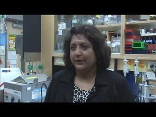 Breast Cancer Research on Kisspeptins