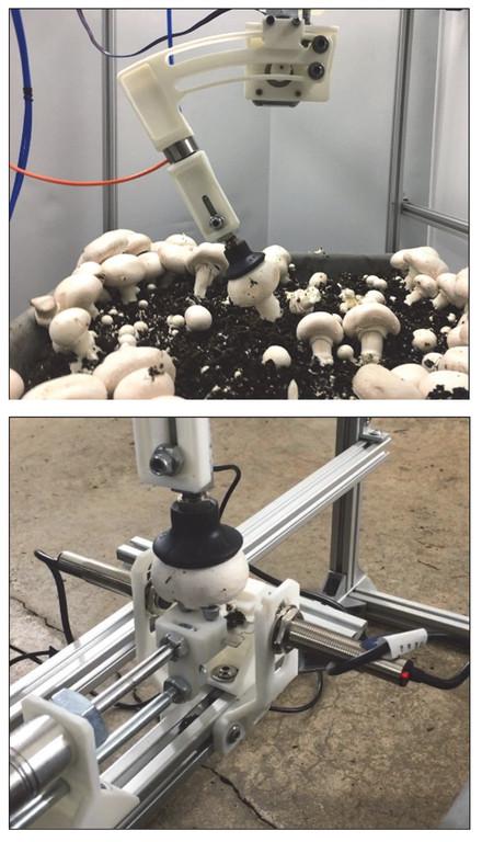 prototype mushroom picker