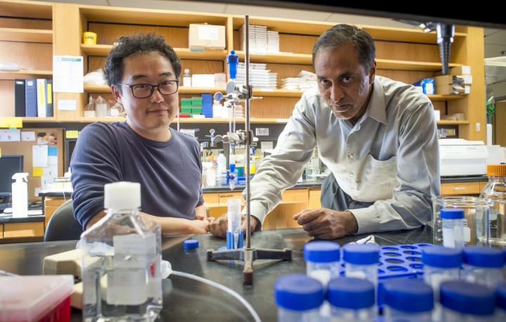 Joo Hyoung Lee and Selvarangan Ponnazhagen, University of Alabama at Birmingham  