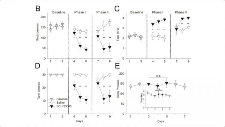 Blocking Dopamine Weakens Effects of Cocaine