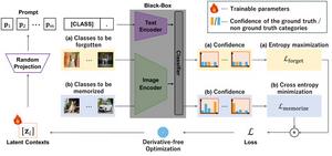 Overview of black-box forgetting