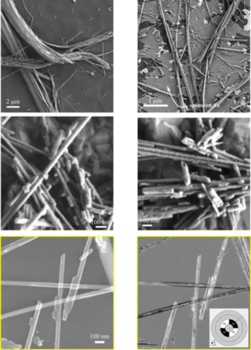 Image of asbestos fibers
