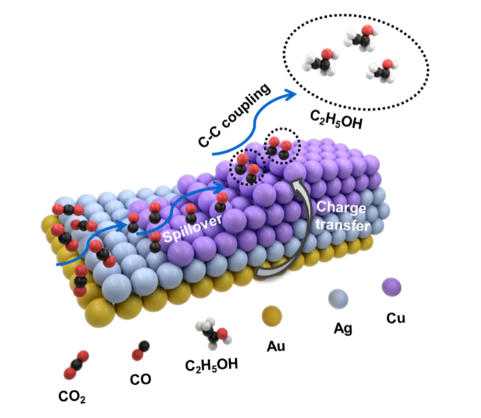 Proposed possible mechanism for the electrochemical CO2RR on (a) Au@Ag NRs and (b,c) asymmetric AuAgCu NSs.