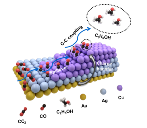 Proposed possible mechanism for the electrochemical CO2RR on (a) Au@Ag NRs and (b,c) asymmetric AuAgCu NSs.