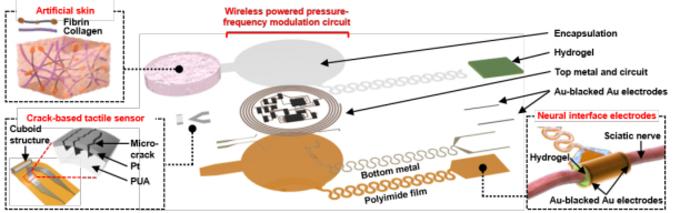 [Figure 1] Human Implantable Tactile Function Smart Bionic Artificial Skin Components