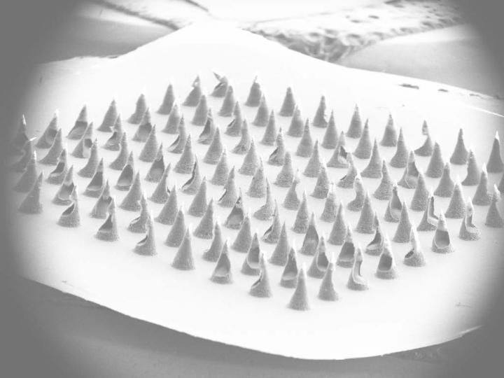 Underside image of a microneedle patch