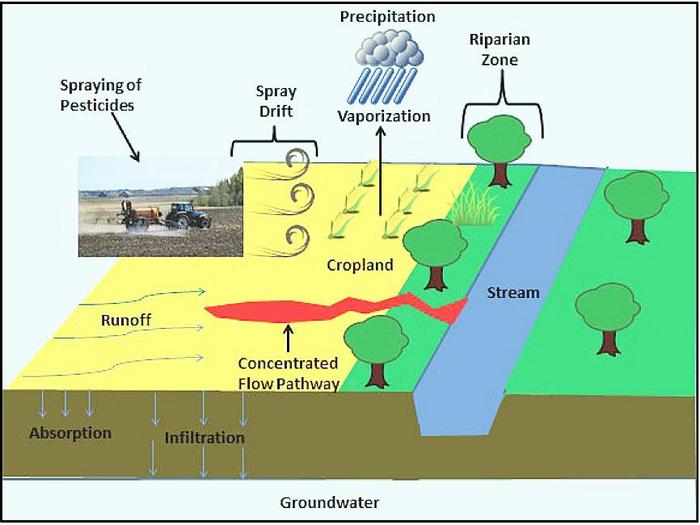 illustration of concentrated flow pathways