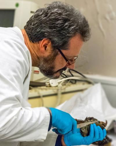 Alfredo Gonzales-Perez, University of Copenhagen - Niels Bohr Institute