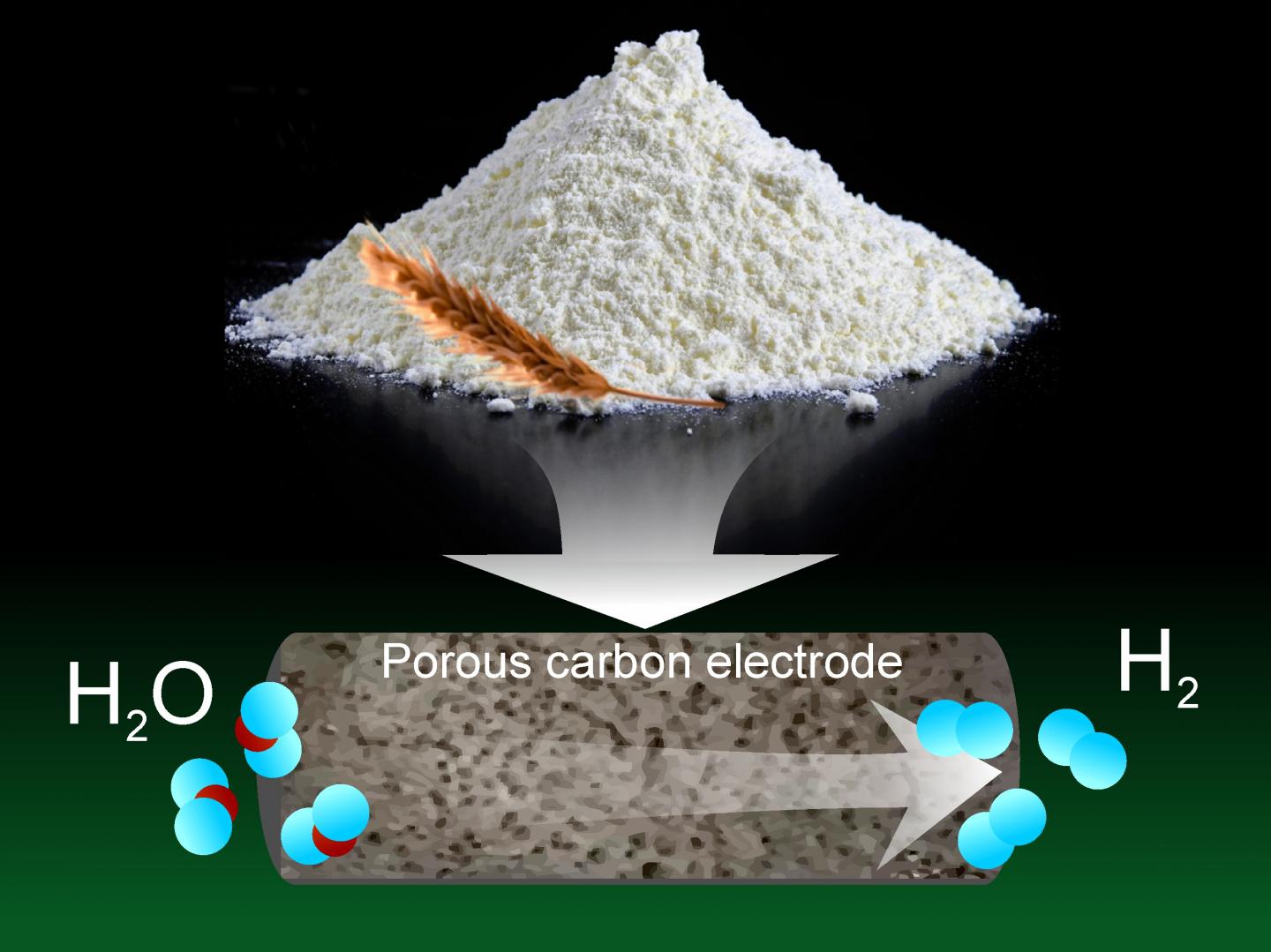 RUDN Chemists Made an Electrode for Hydrogen Fuel Production out of Chinese Flour