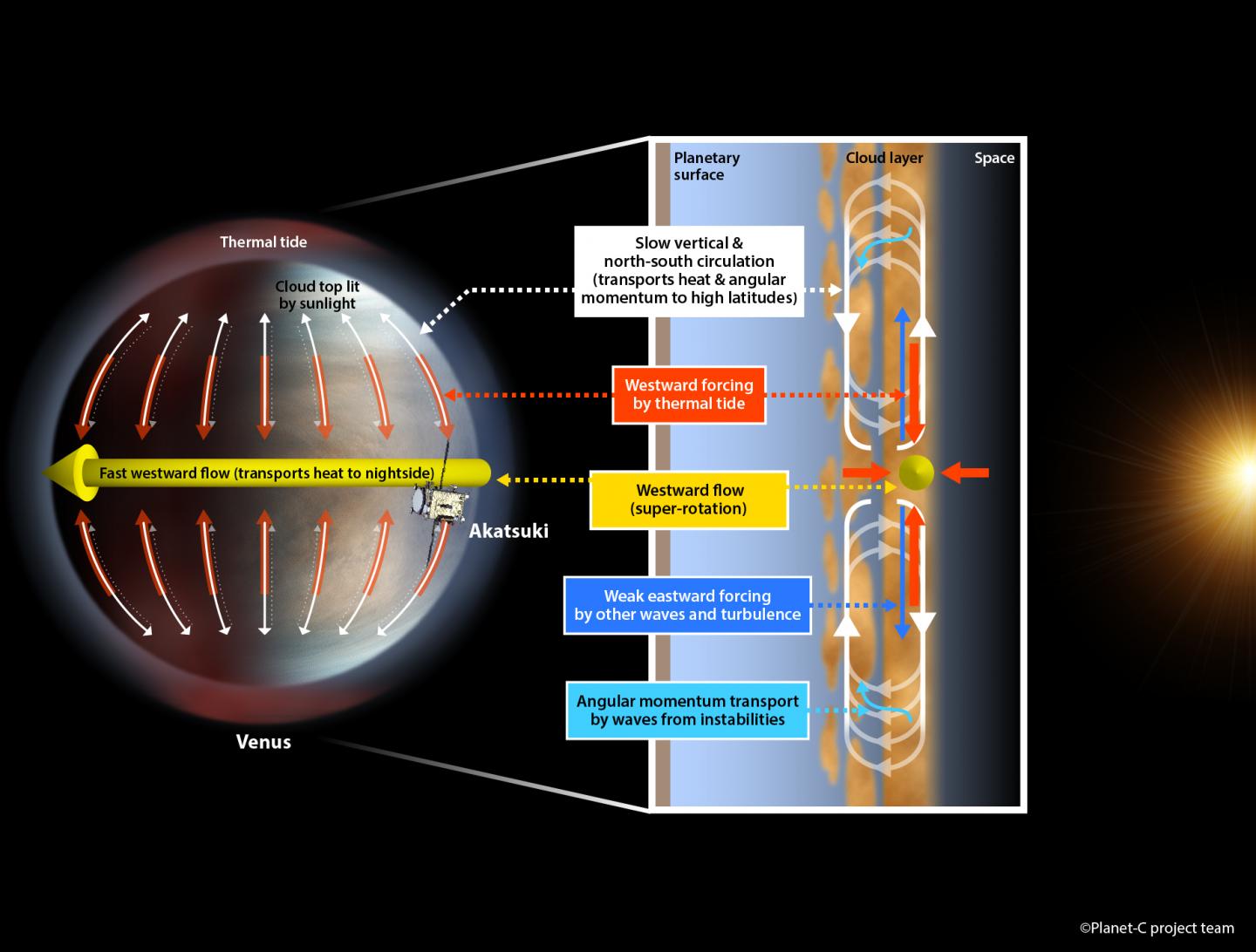 The Proposed System that Maintains the Super-Rotation of Venus' Atmosphere