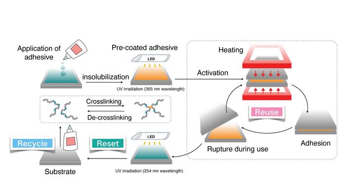 Schematic illustration of RORM type adhesive