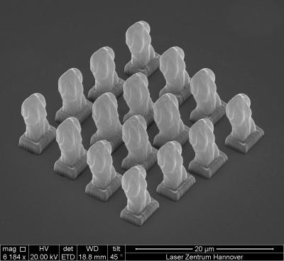 Micro-Venus Structures