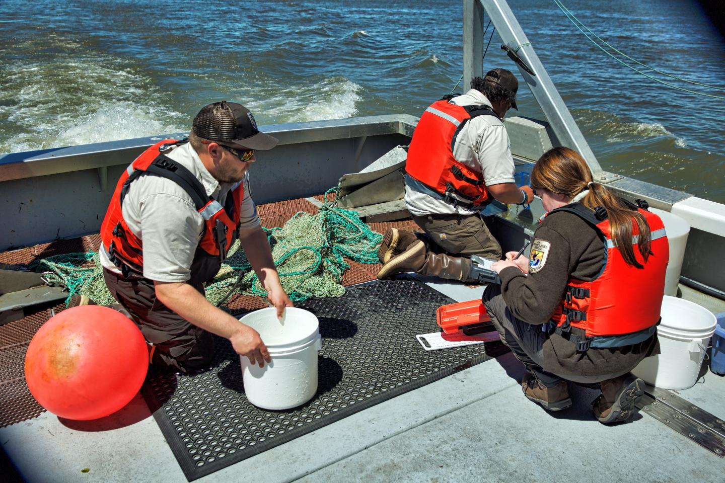 Bay-Delta Fish Monitoring