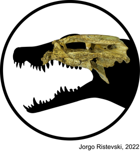 Trilophosuchus rackhami skull