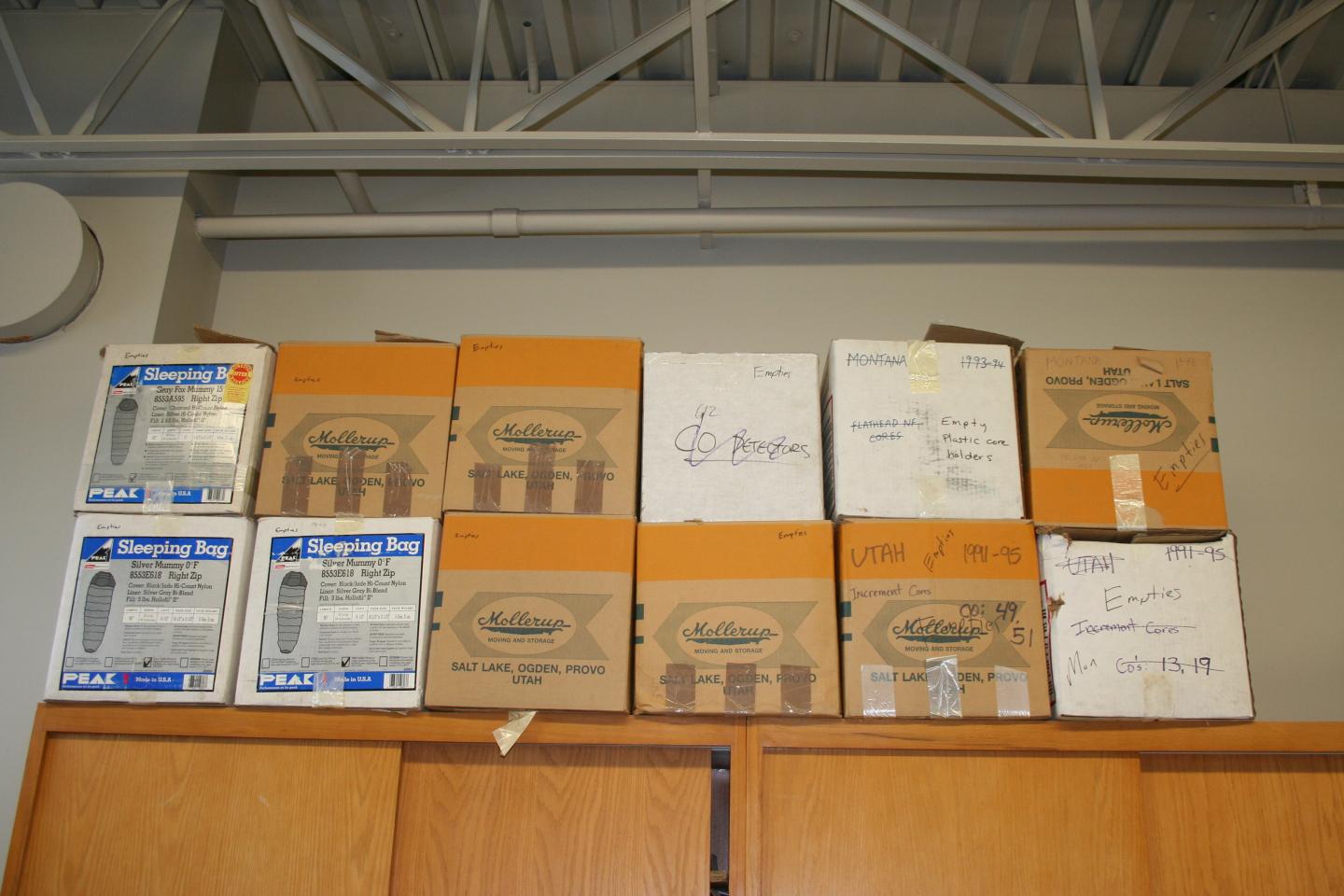 Boxes of Cores from Forest Trees