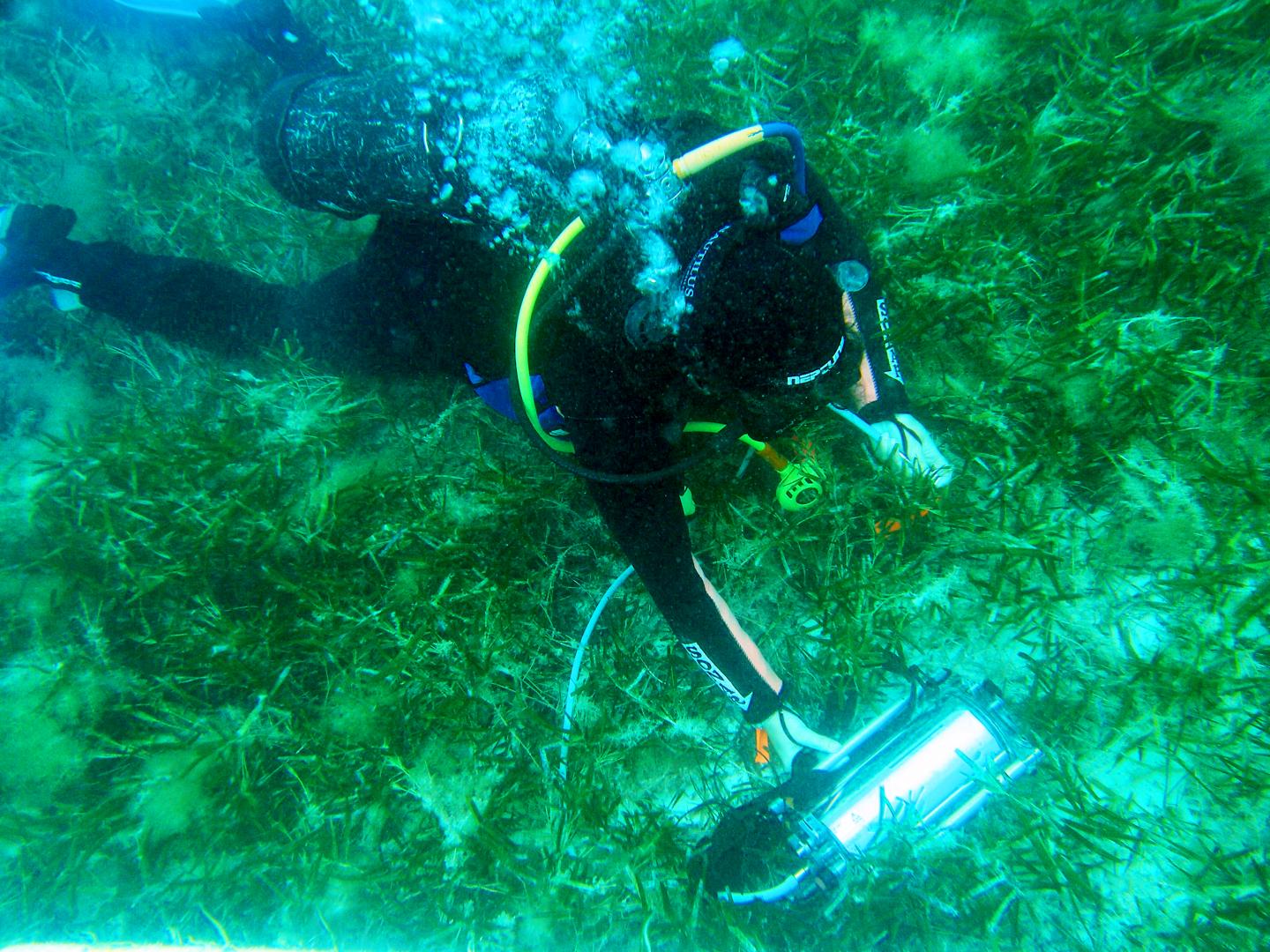 Dr Kathryn McMahon, Queensland University of Technology 