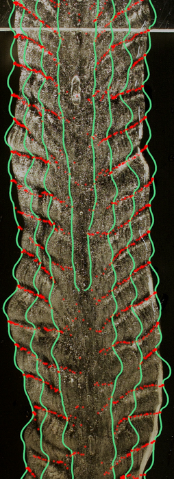 Overlay of cross-section of an icicle with internal fogginess