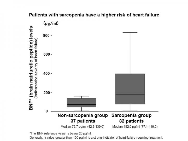 Brain Natriuretic Peptide (BNP) Levels vs. Patients With and Without Sarcopenia