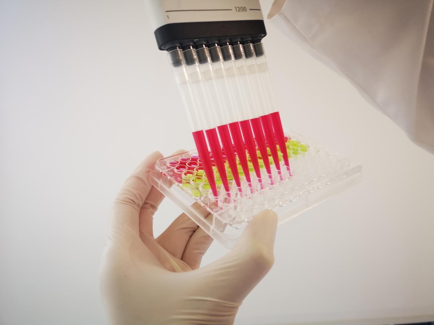 Representative <i>plasmodium</i> Image