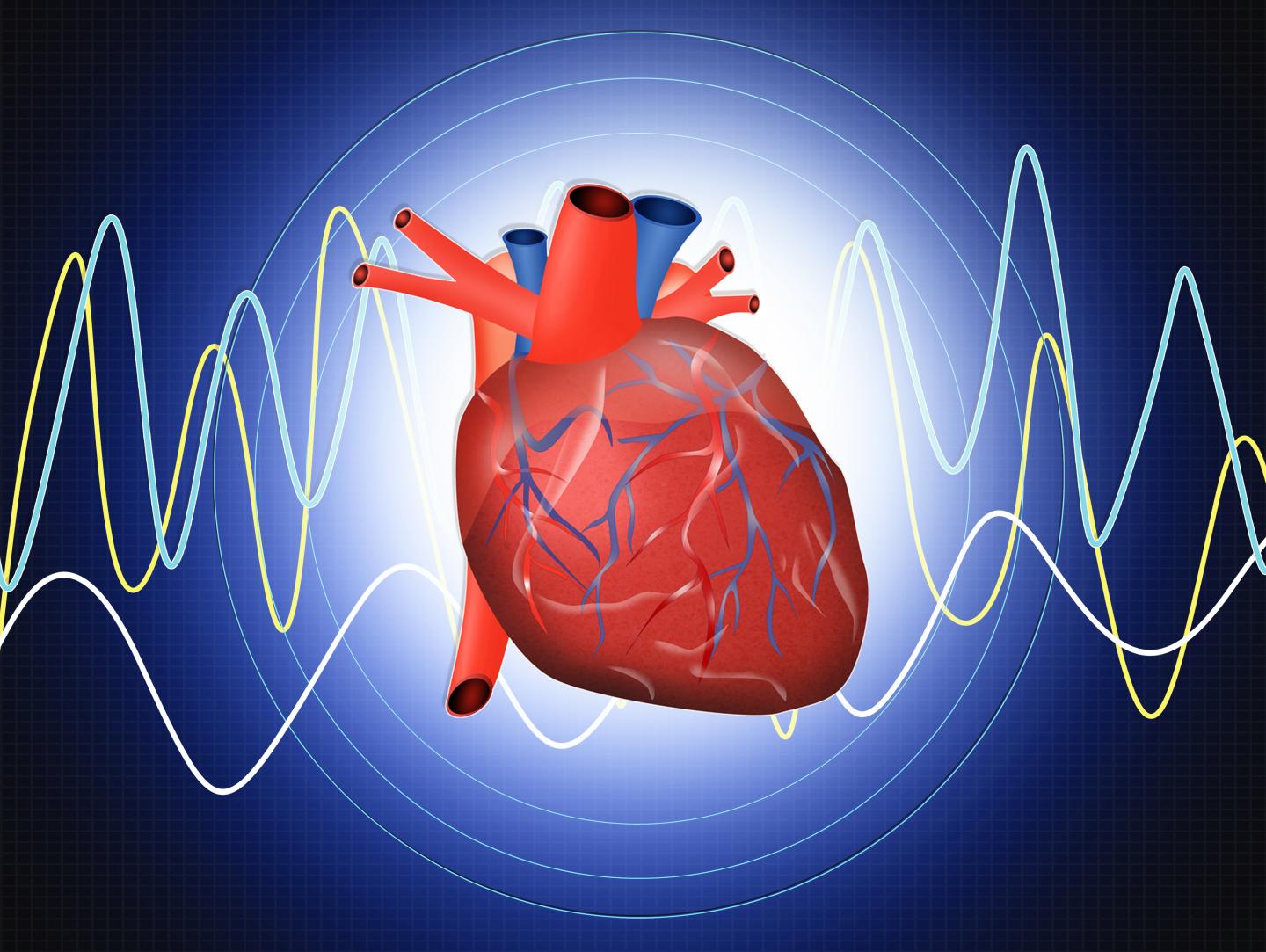 Novel biomarkers predict the development of incident heart failure.