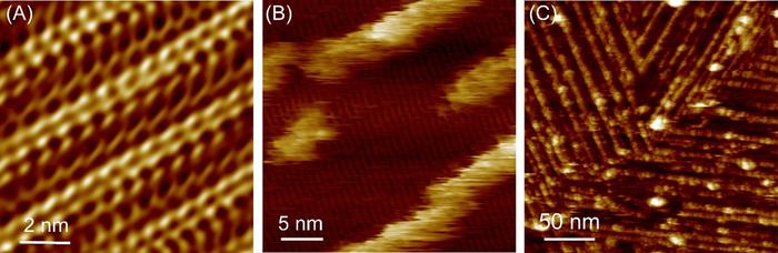 Peptide self-assembly and subsequent hemin adsorption on graphite substrate.