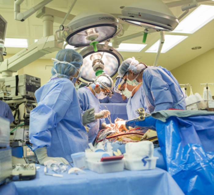 Study Finds Underperforming Organ Procurement Organizations Contribute to Nationwide Shortage