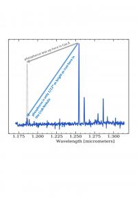 Spectrum of One Position in the Crab Nebula from the William Herschel Telescope, La Palma