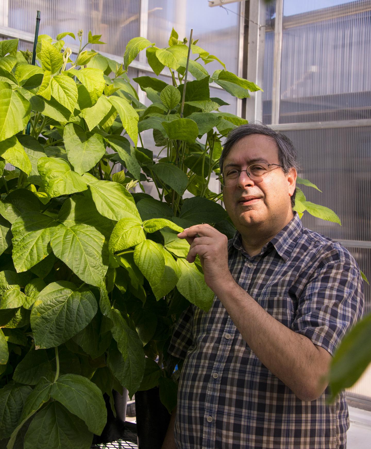 Eliot Herman, University of Arizona