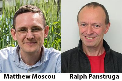 Ralph Panstruga & Matthew Moscou