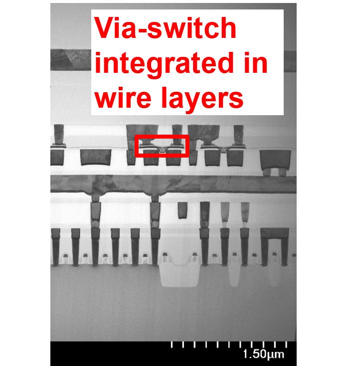Interconnect Cross Section