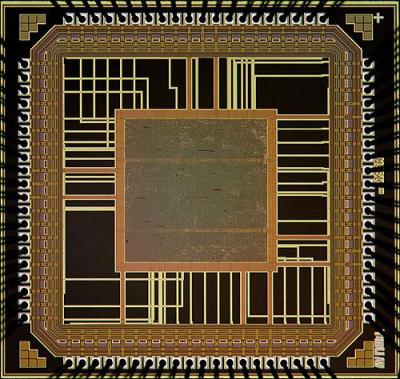 Chip Developed as Platform for Implantable Prosthetic Devices