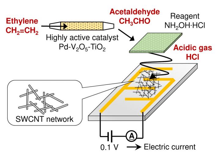 New Ethylene Sensor