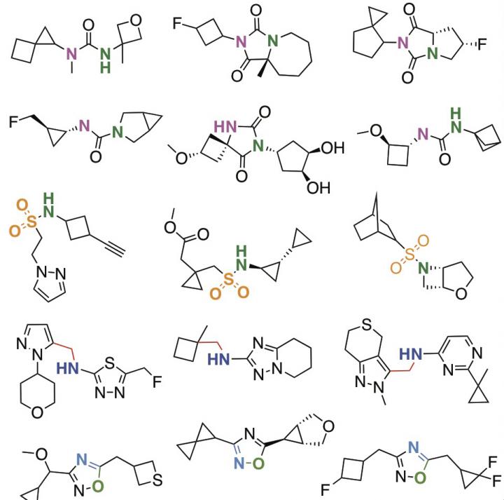 Examples of Molecules in Virtual Docking Library