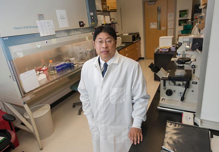 Yuntao Wu, George Mason University