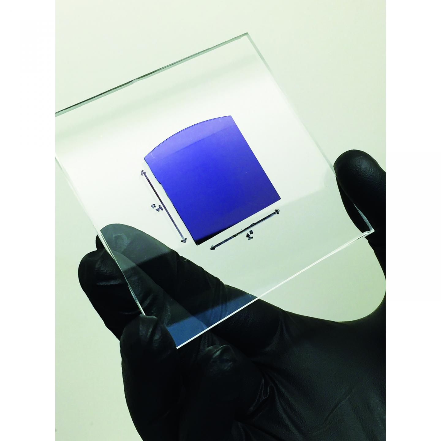 Quasi-ballistic carbon nanotube array transistors with current density exceeding Si and...(1 of 8)