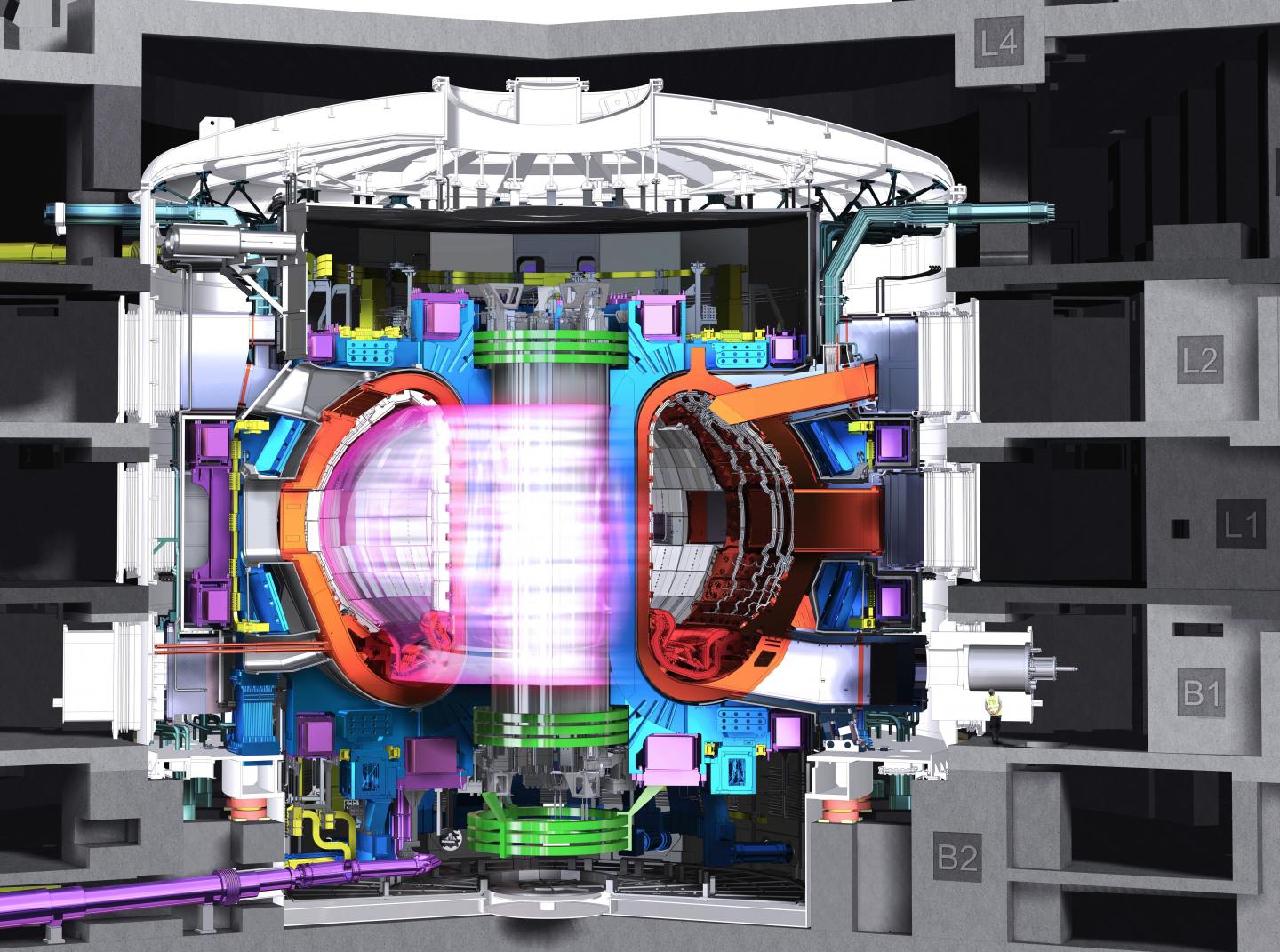 An Illustration of a Tokamak with Plasma