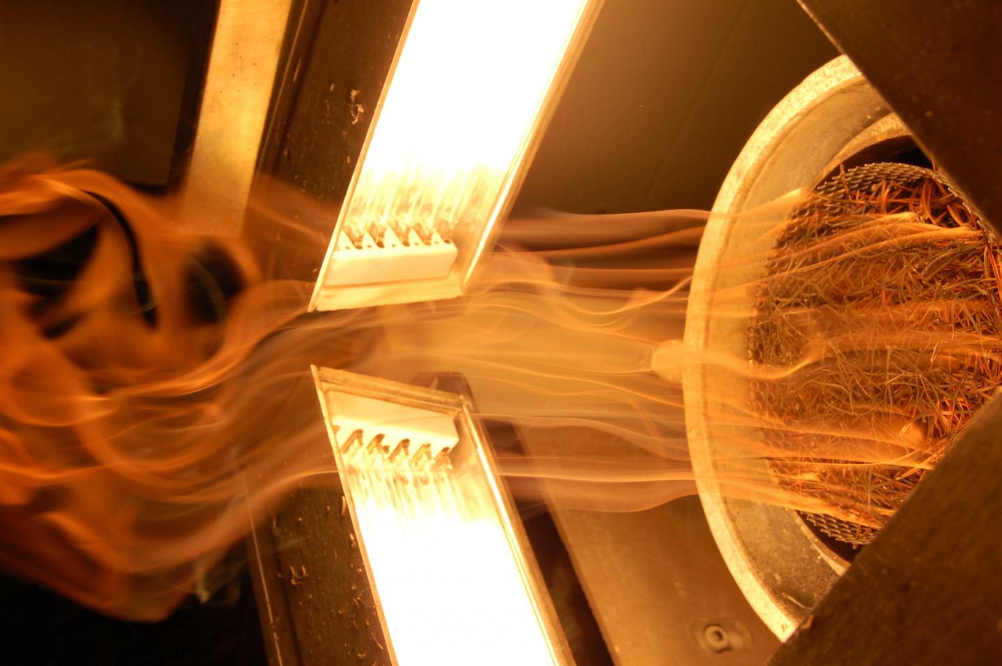 Flaming Ignition of Pinus Pinaster Needles.